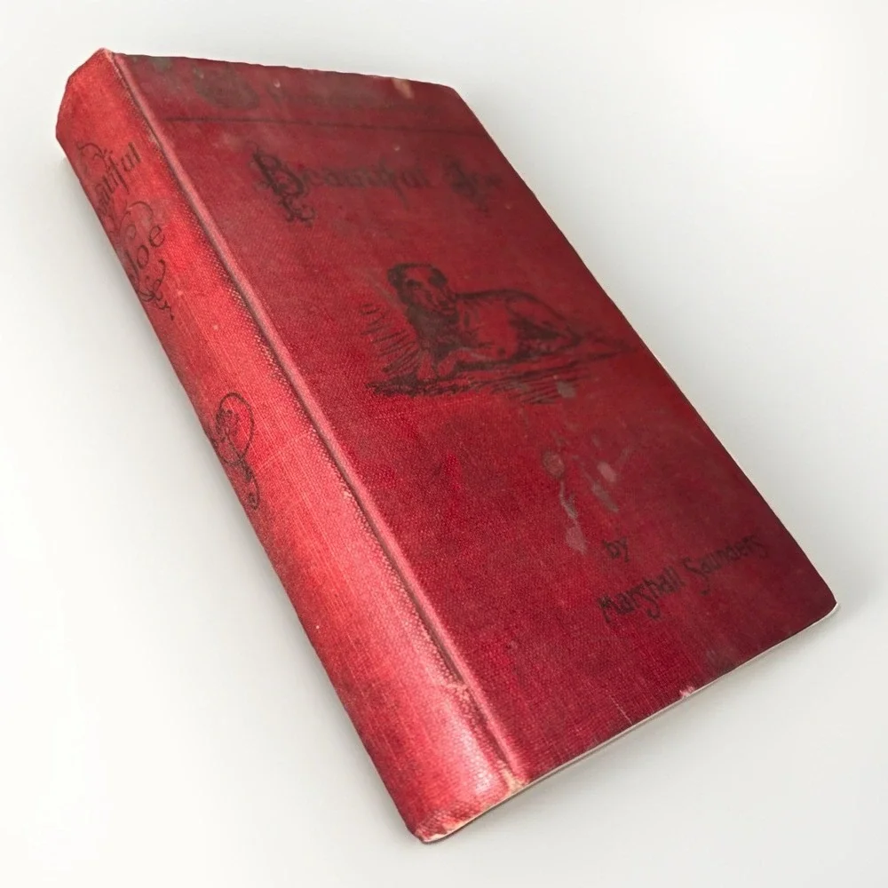 Vtg Beautiful Joe Dog Book Marshall Saunders 1903 Phoenix Edition - Picture 1 of 7